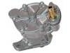 Vacuum Pump, Brake System:074 145 100 A