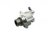 Vacuum Pump, Brake System:29300-67020